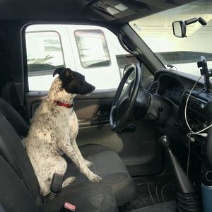 Meet your Posher, Jordan